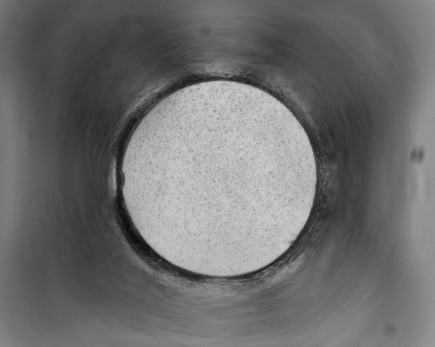 X0000099500020200806121426