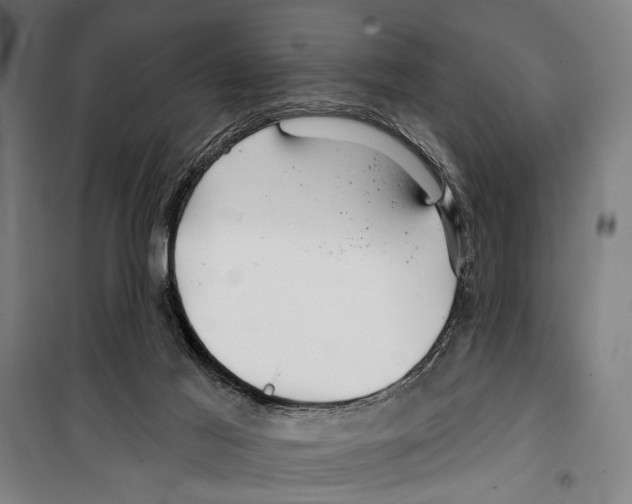 X0000099500021200806121426