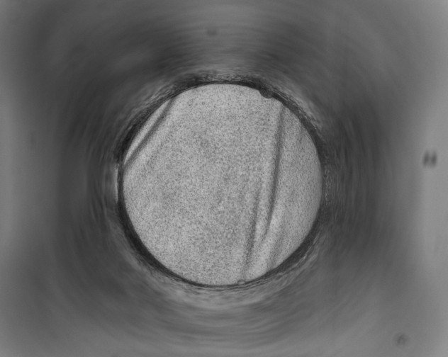 X0000099500022200806121426