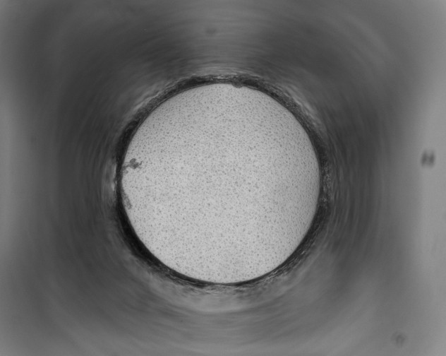 X0000099500024200806121426