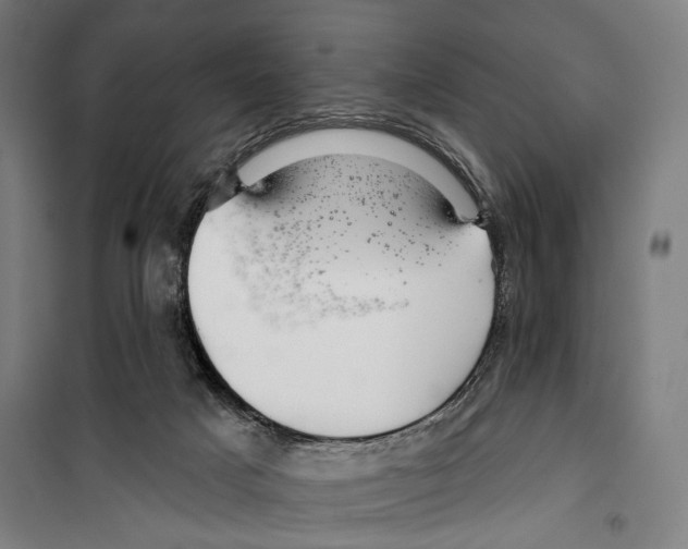 X0000099500025200806121426