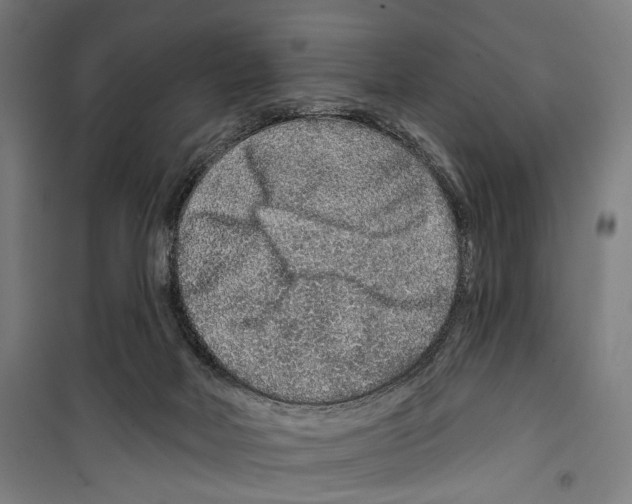 X0000099500026200806121426