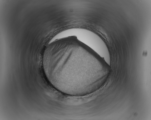 X0000099500029200806121426