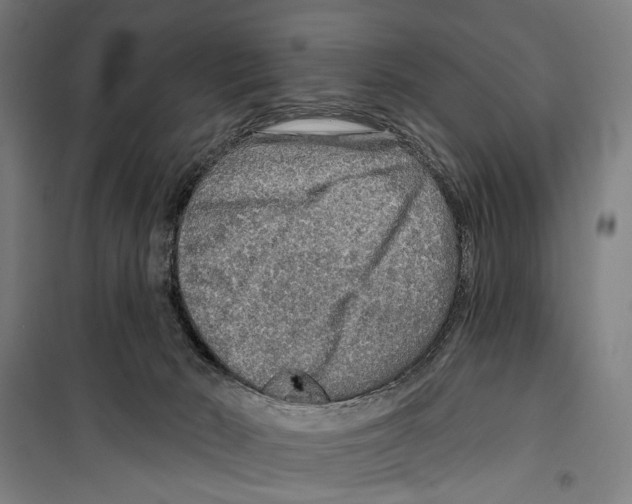 X0000099500030200806121426