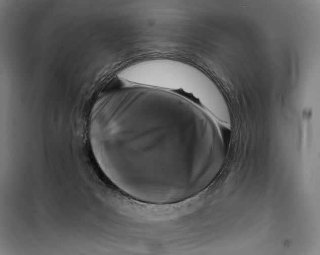 X0000099500031200806121426