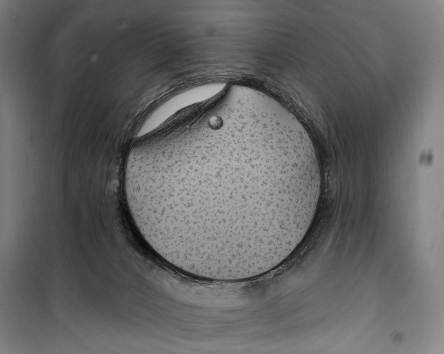 X0000099500032200806121426