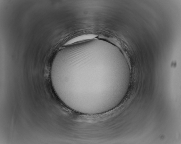 X0000099500033200806121426