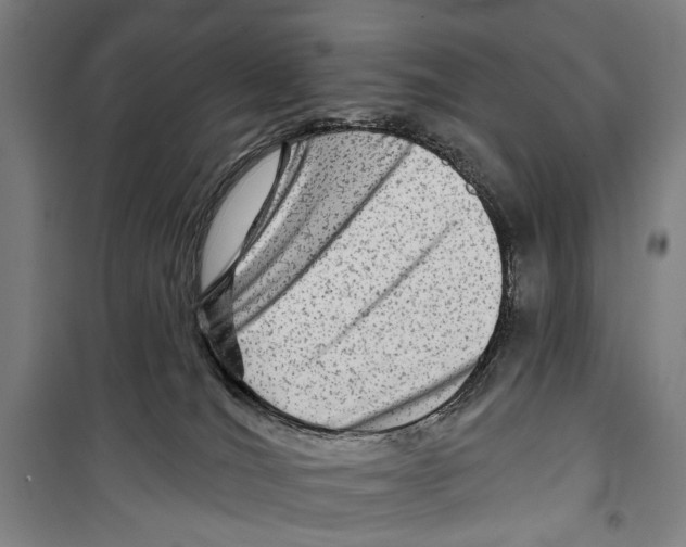 X0000099500036200806121425