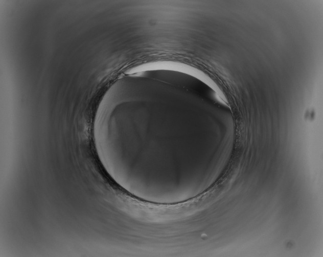 X0000099500039200806121425