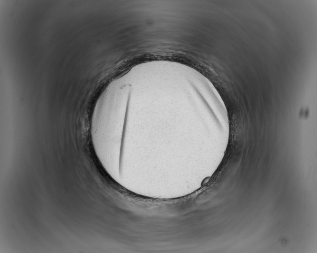 X0000099500040200806121425