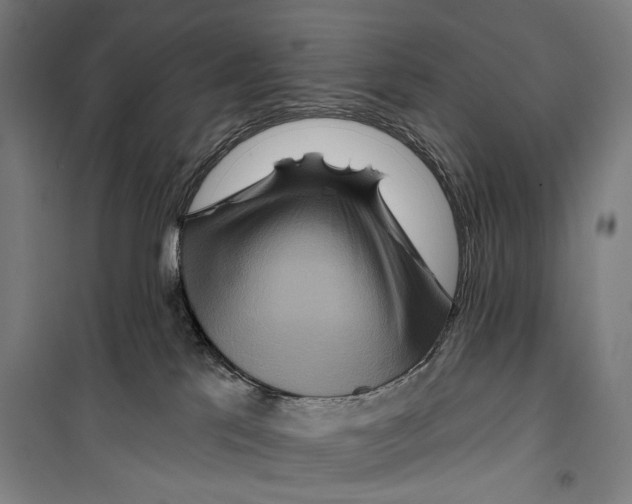 X0000099500041200806121425