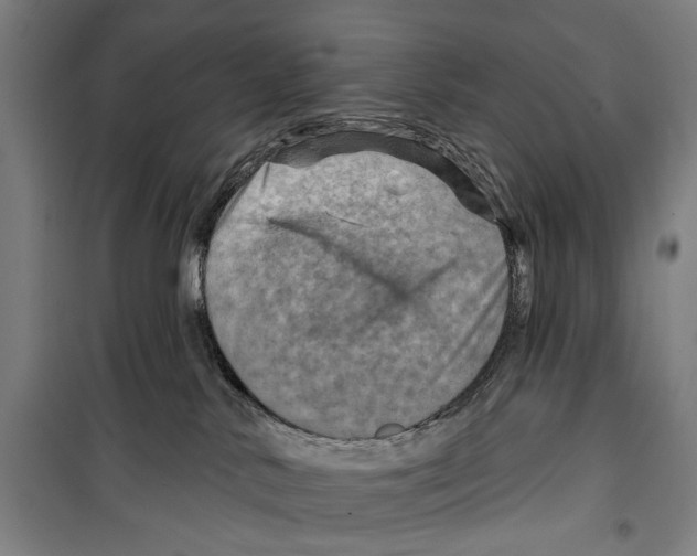 X0000099500042200806121425