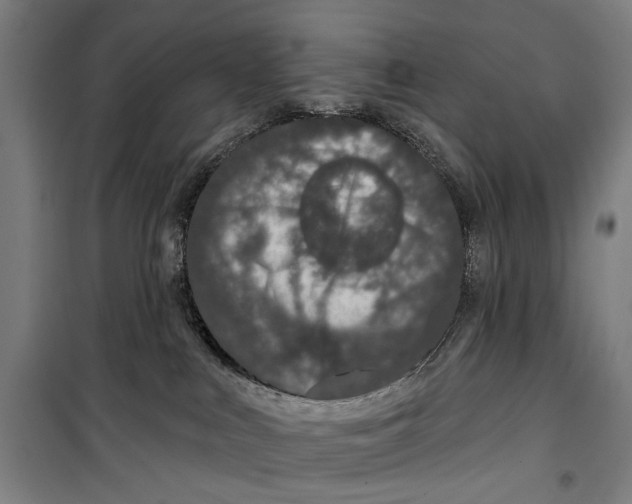 X0000099500043200806121425