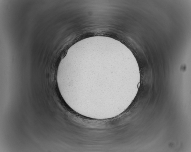 X0000099500044200806121425