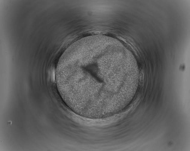 X0000099500046200806121425