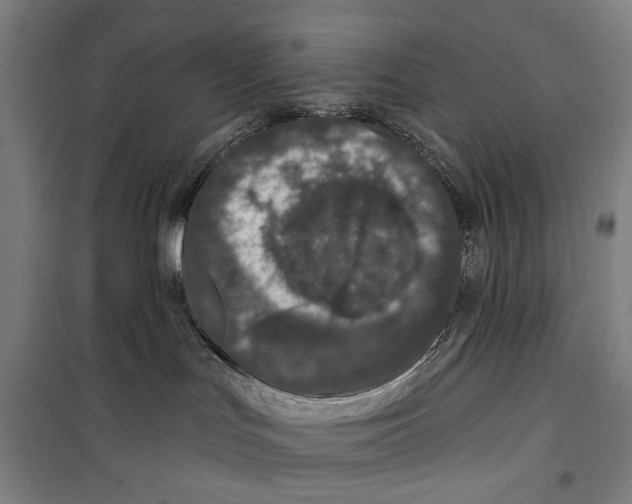 X0000099500047200806121425