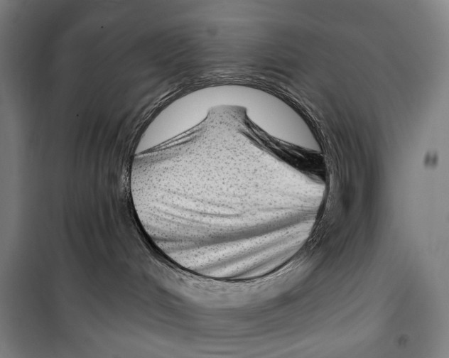 X0000099500048200806121425