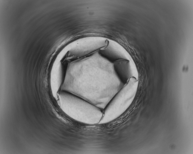 X0000099500050200806121425