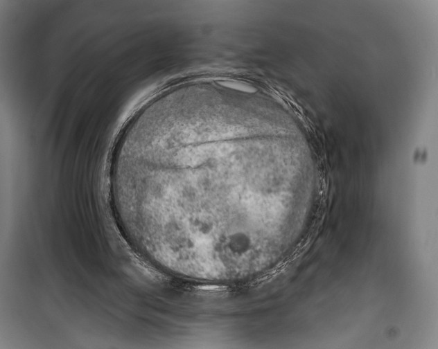 X0000099500053200806121425