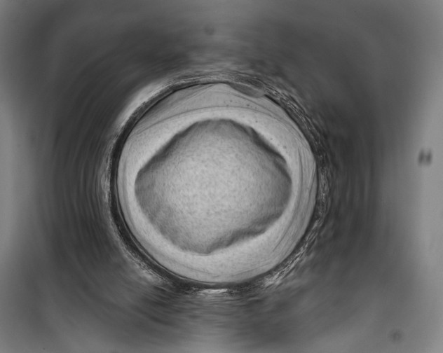 X0000099500054200806121425