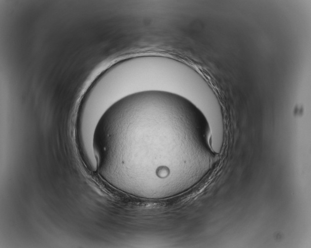 X0000099500056200806121425