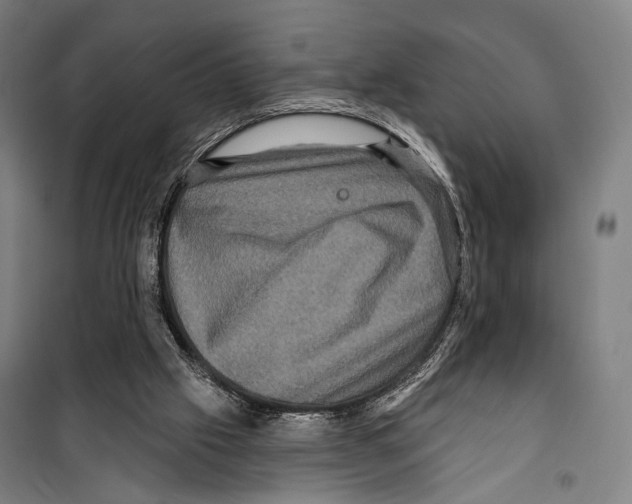 X0000099500057200806121425