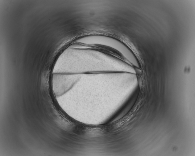 X0000099500058200806121425