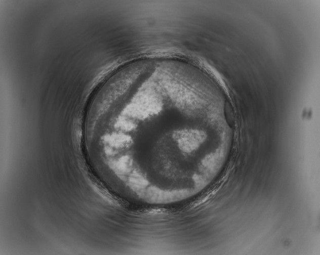 X0000099500059200806121425