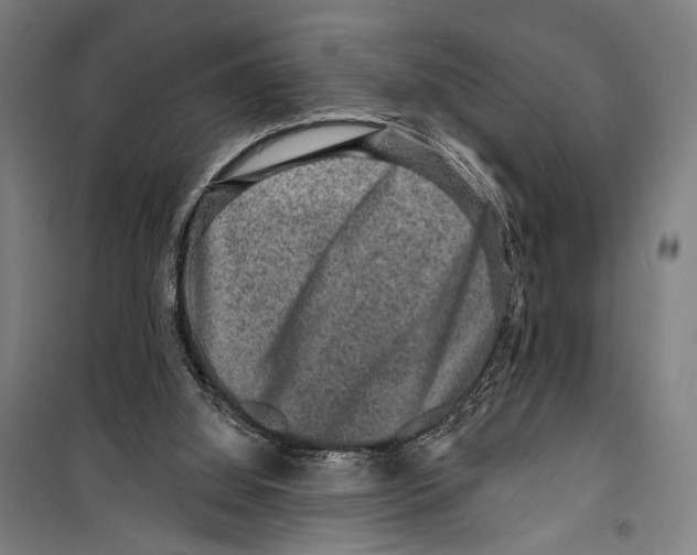 X0000099500060200806121425