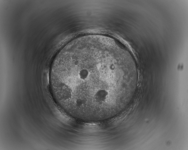 X0000099500061200806121425