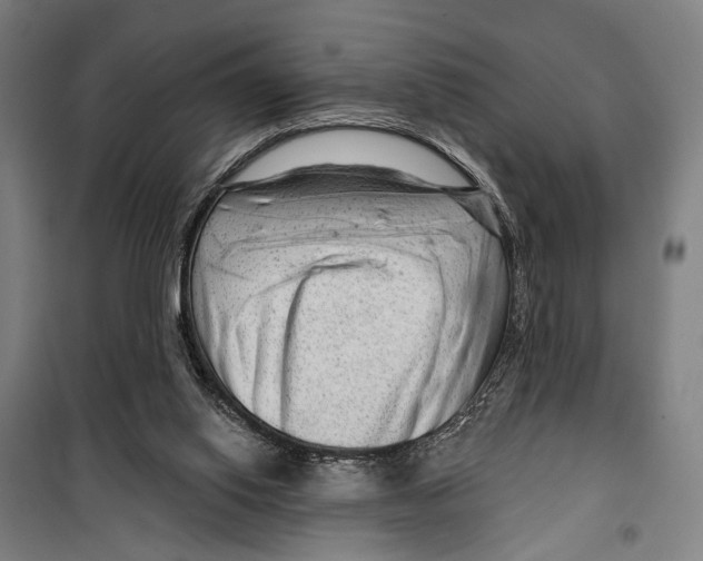 X0000099500062200806121425