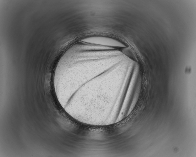 X0000099500066200806121425