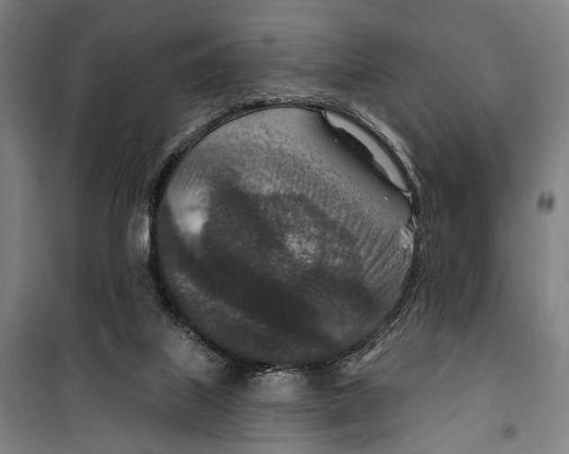 X0000099500067200806121425