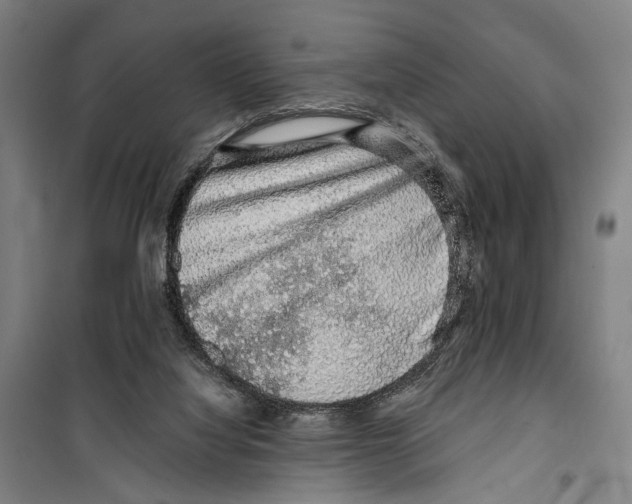 X0000099500068200806121425