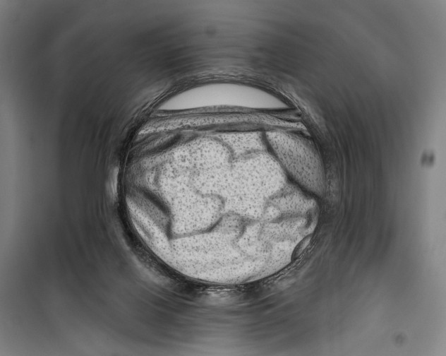 X0000099500070200806121425