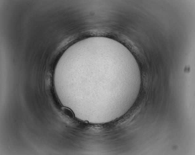 X0000099500071200806121425