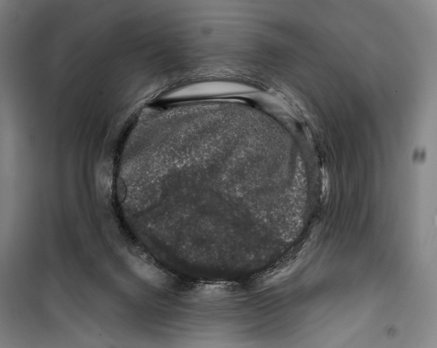 X0000099500072200806121425