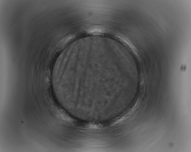 X0000099500073200806121425