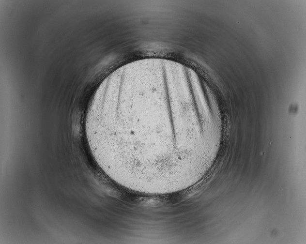 X0000099500074200806121425