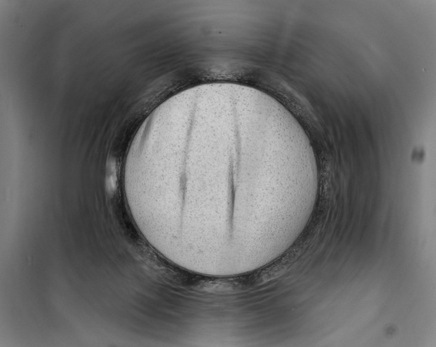 X0000099500075200806121425