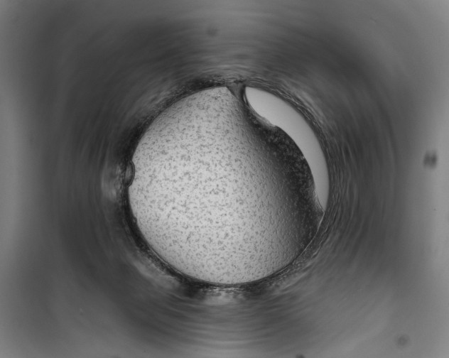 X0000099500077200806121425