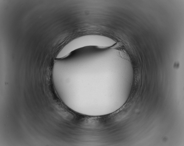 X0000099500078200806121425