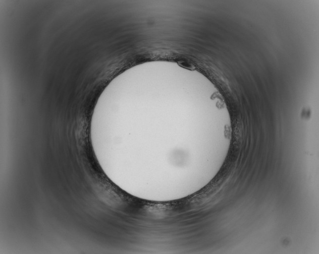 X0000099500079200806121425