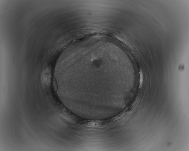 X0000099500080200806121425