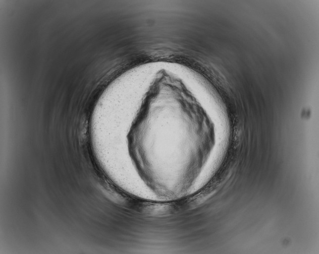 X0000099500081200806121425