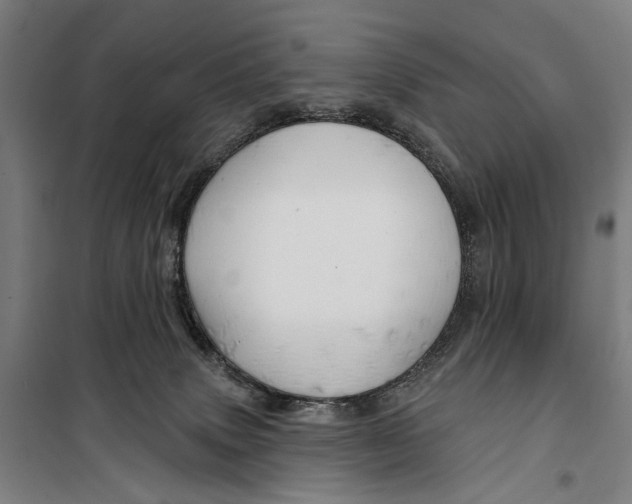 X0000099500083200806121425