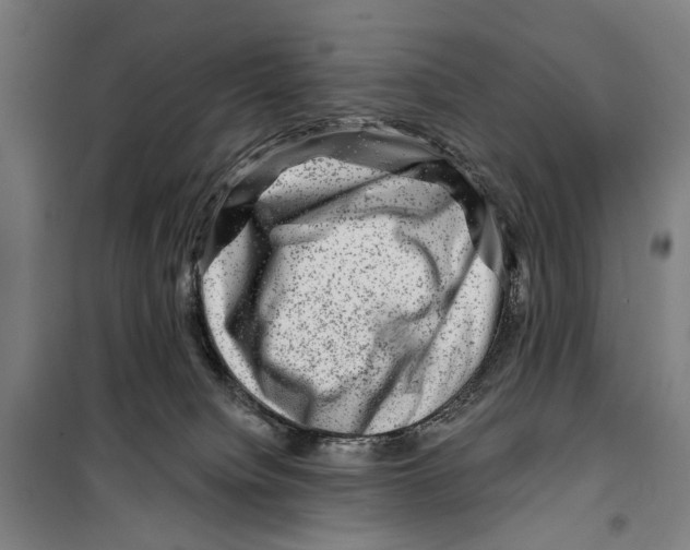 X0000099500084200806121425