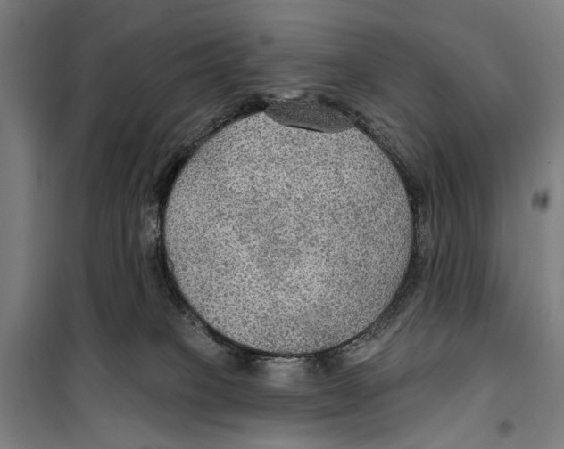 X0000099500085200806121425