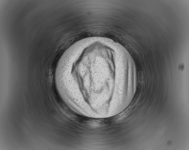 X0000099500086200806121425