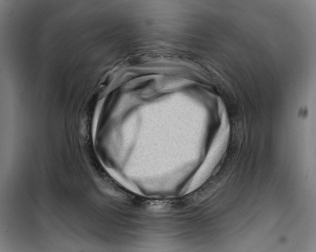 X0000099500088200806121425